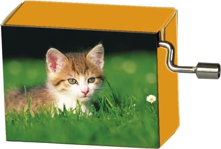 Speeldoosje dieren kitten in het gras met melodie LaLeLu