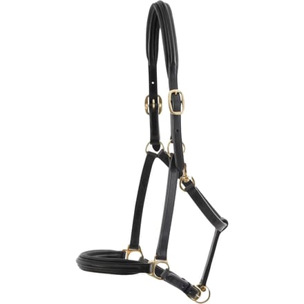 Met leer bekleed paardenhalster Premier Equine