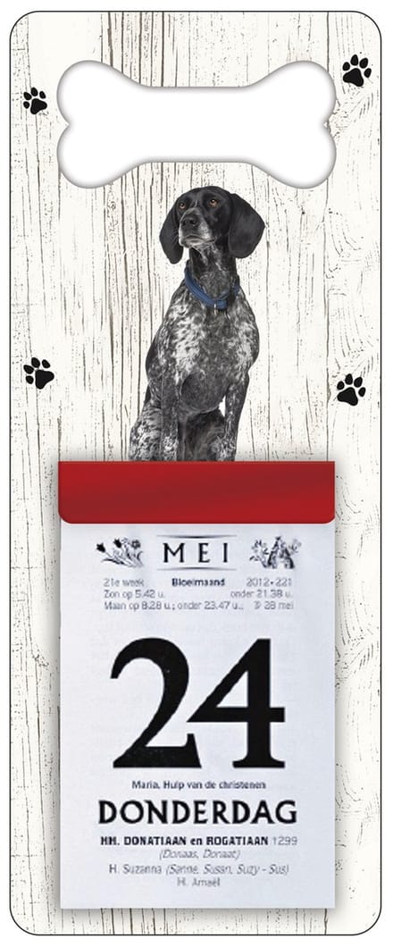 Scheurkalender 2027 Hond: Braque d Auvergne