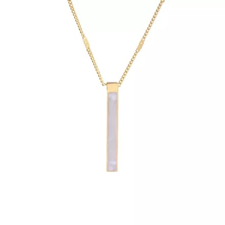 Elegante edelsteen ketting van staal en schelpje in een gouden frame hanger