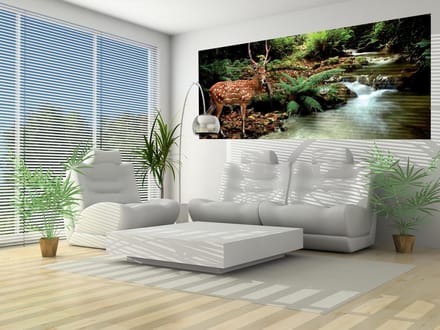 Deer in Forest Photo Wallcovering
