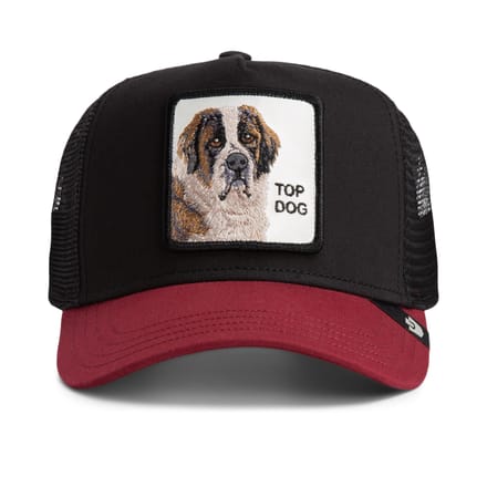 GOORIN Pet OG Trucker Een maat