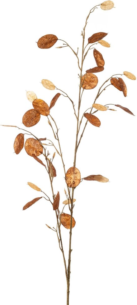 Emerald - Kunstbloem Judaspenning 120cm bruin - Kunstplant voor binnen