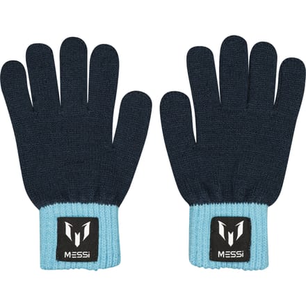 Gloves Ver