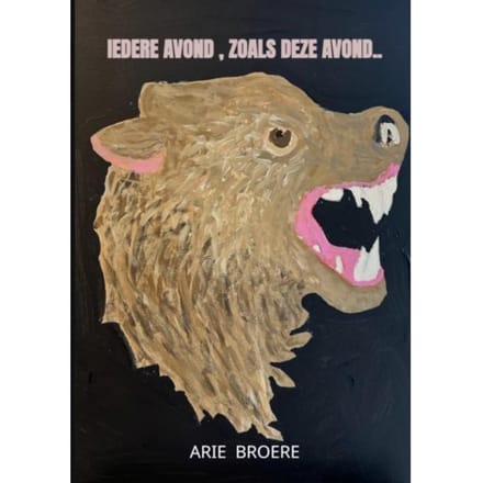 Iedere Avond , Zoals Deze Avond.. - Arie Broere