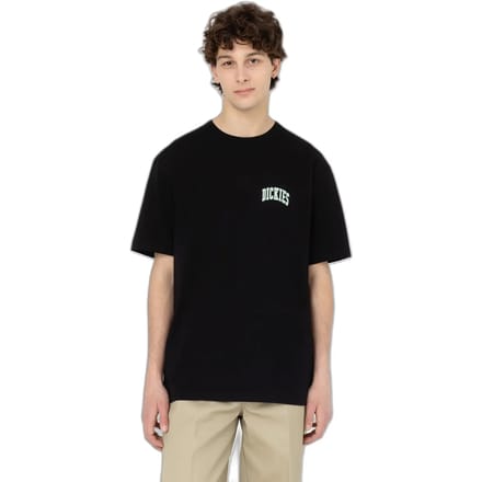 T-shirt met korte mouwen Dickies Aitkin Chest