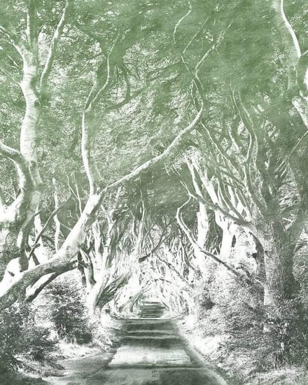 Fotobehang - Alley Graphite 200x250cm - Vliesbehang