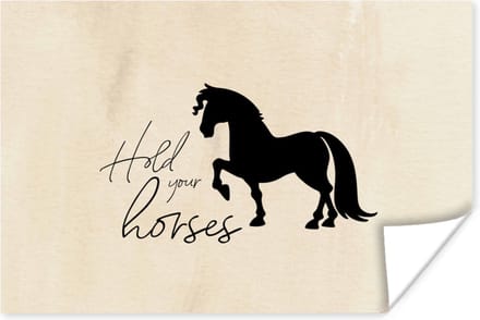 Poster Quotes - Hold your horses - Paarden - Spreuken - 60x40 cm
