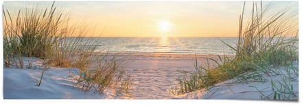 Poster Golden Hour - 53 x 158 - Papier - REINDERS