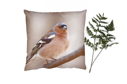 Sierkussens - Kussentjes Woonkamer - 50x50 cm - Vogel - Dieren - Vink