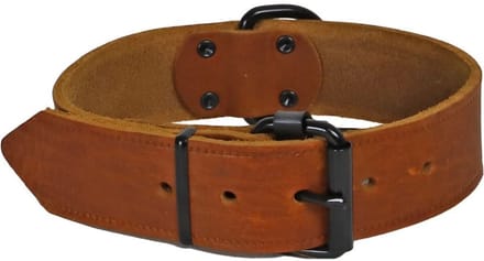 Halsband softleder 30mm/50cm cognac Gebr. de Boon