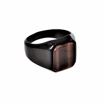 Zegelring Heren - Zwart PVD Coating Stalen - Ring met Tijgeroog Steen
