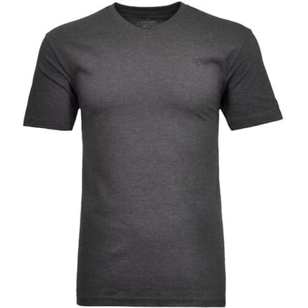 Ragman T-Shirt Uni V-Neck Single Jersey Antraciet / male