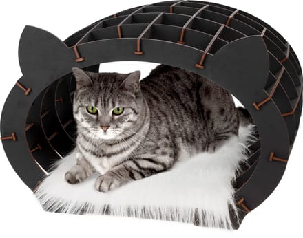 Eco Wood Art Modelbouwpakket Kattenhuis Zwart - 3D Puzzel - DIY - Hout