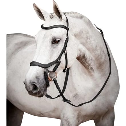 Snaffel hoofdstellen Horseware Micklem 2