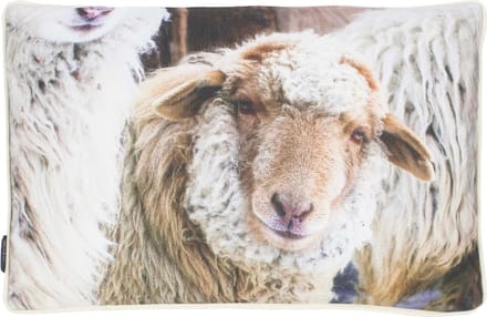 Mars & More Schapen buitenkussen beige 40x60cm