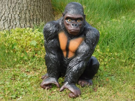 Prachtige gorilla, polystone mooi om te zien.