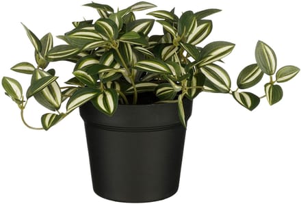 Kunstplant mica tradescantia in pot groen | 6 stuks