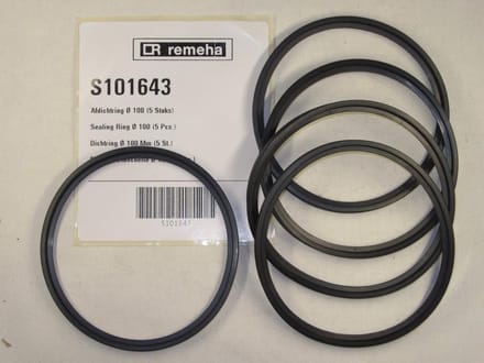 Remeha afdichtring 100 S101643 (5st)