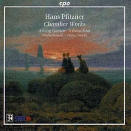 CD PFITZNER - Pfitzner: Kamer van Koophandel (4CD) 9999962 cpo 2003 Japan Klassiek Gebruikt gray