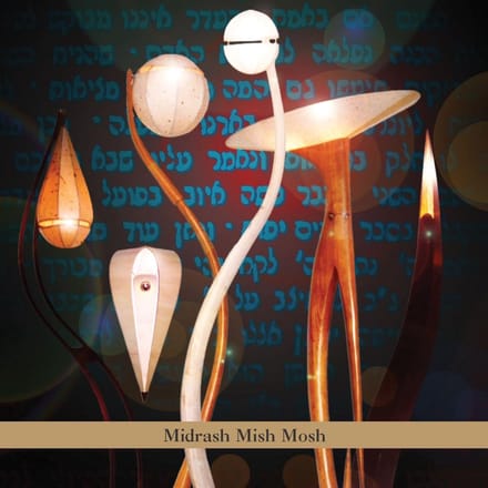 Midrash Mish Mosh - Aaron Alexander