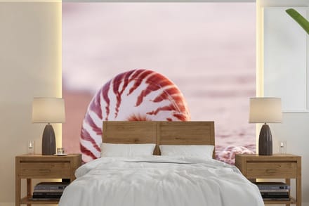 Behang - Fotobehang Schelp - Strand - Zee - Zand - Breedte 280 cm x hoogte 280 cm