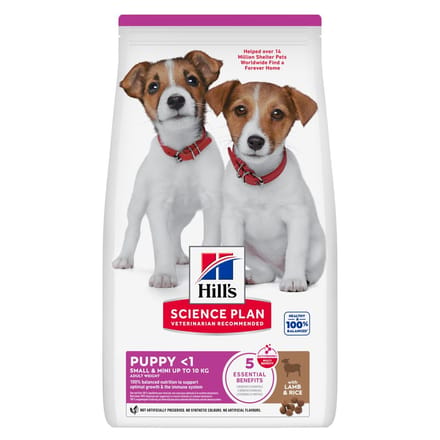 Voordeelpak: 3x 3kg Hill`s Science Plan Puppy Klein & Mini Lam & Rijst hondenvoer droog