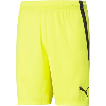 Short Puma teamLIGA