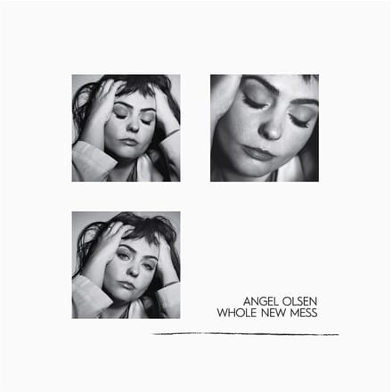Whole New Mess (Clear Smoke Translucent Vinyl)
