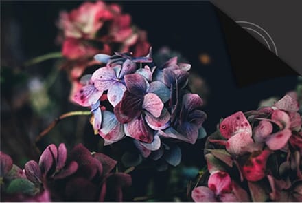 Inductie Beschermer Hortensia print Exclusief 90x52cm
