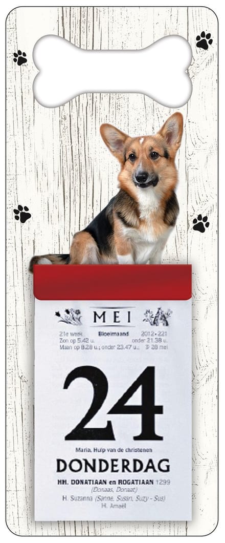 Scheurkalender 2027 Hond: Welsh Corgi Cardigan