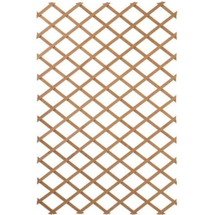 Nature Treillis de jardin 100 x 300 cm Bois Marron 419779