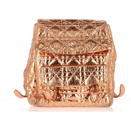 Dior Stardust Rugzak in Gouden Leer