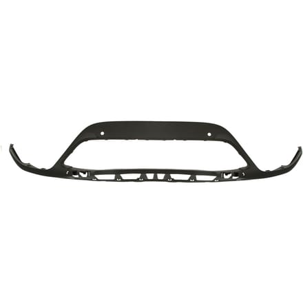 Sier- / Beschermingspaneel, radiateurgrille BLIC 6502-07-5079991P