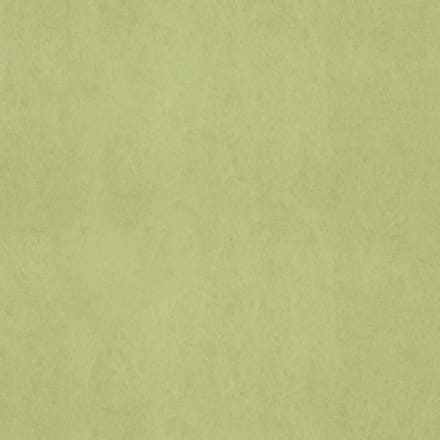 FC Chroma 58-Lime - vliesbehang - 10m x 53cm