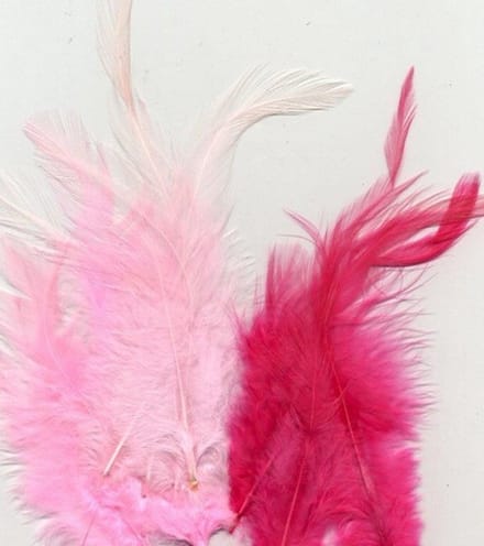 Vaessen Creative Veren - 8,5-15cm - 15stuks - Roze