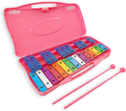 Groot 25-toons Xylofoon Kleurrijk Muziekinstrument met Koffer
