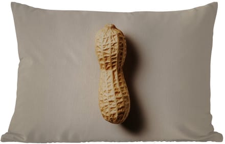 Buitenkussens - Tuin - Pinda - Ruw - Beige - 50x30 cm