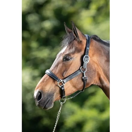 Lederen halster voor paarden HFI Grooming