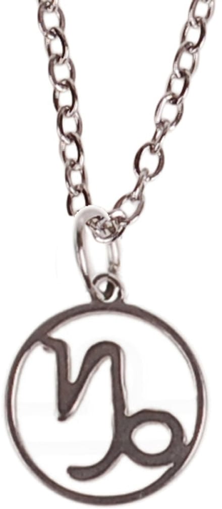 Kinderketting Zilverkleurig 45cm - Hangertje Sterrenbeeld RVS - Steenbok