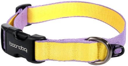 Boondog - Original Collar - Purple/Lemon - M