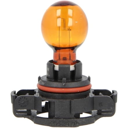 P27/7w lamp PHILIPS PSY24W 12V, 24W
