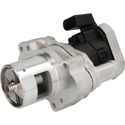 EGR-klep DELPHI EG10455