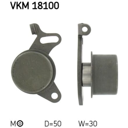 Tandriempoelie SKF VKM 18100