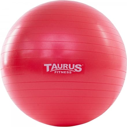 Taurus Gym Bal anti-burst 55 cm