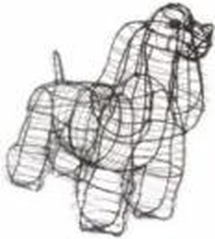 Hond Cocker Spaniel - Frame