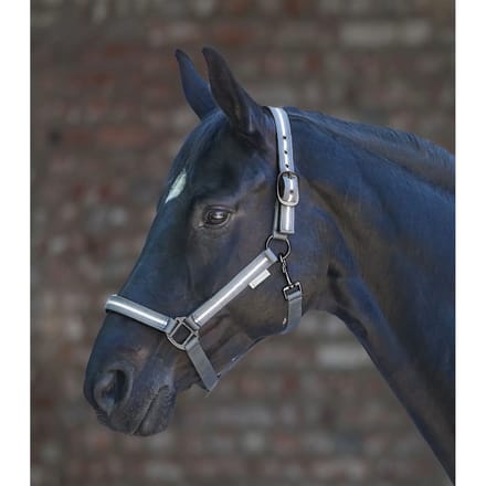 Halster voor paarden Waldhausen Reflex Stripe