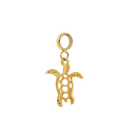 iXXXi Connect Bedel Turtle | Goud