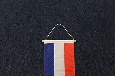 Nederlandse wimpel Nederland 25 x 300cm