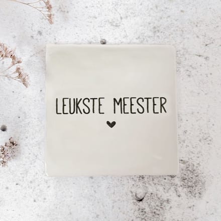 Tegeltje - de leukste meester - excl. houder - cadeau einde schooljaar
